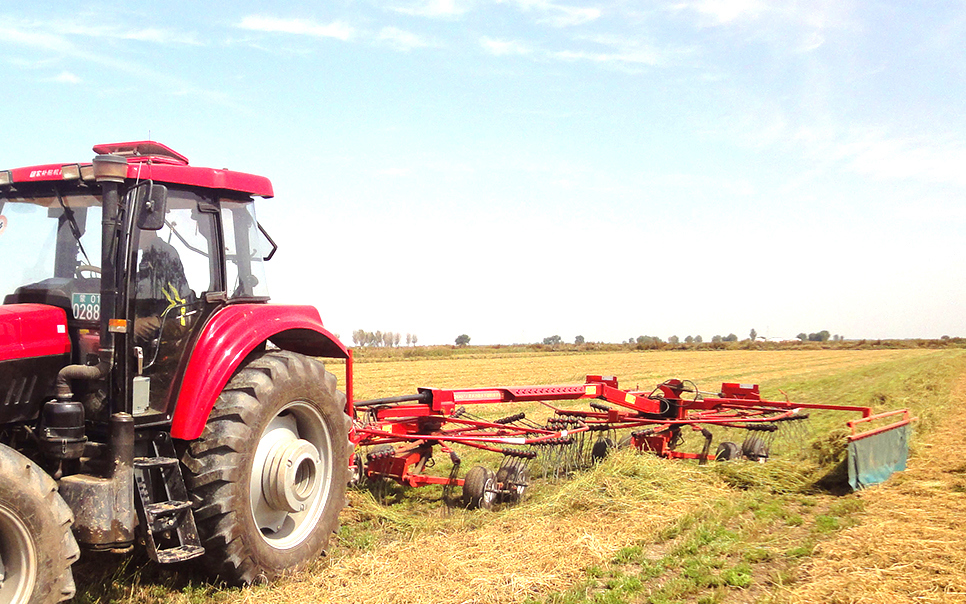 標(biāo)題：9LSQ-5.3型多功能水平旋轉(zhuǎn)摟草機(jī)
瀏覽次數(shù)：48
發(fā)表時間：2023-12-12