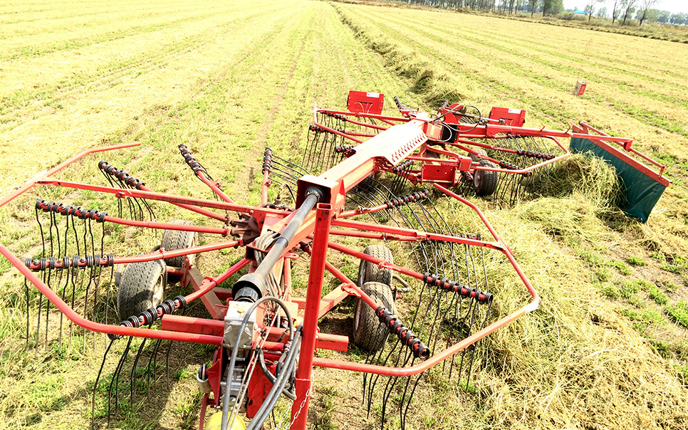 標(biāo)題：9LSQ-5.3型多功能水平旋轉(zhuǎn)摟草機(jī)
瀏覽次數(shù)：70
發(fā)表時間：2023-12-12