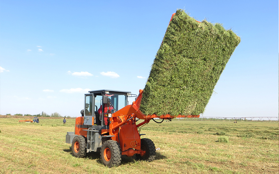 標(biāo)題：9DCK-15方草捆集垛機(jī)
瀏覽次數(shù)：63
發(fā)表時(shí)間：2023-12-12